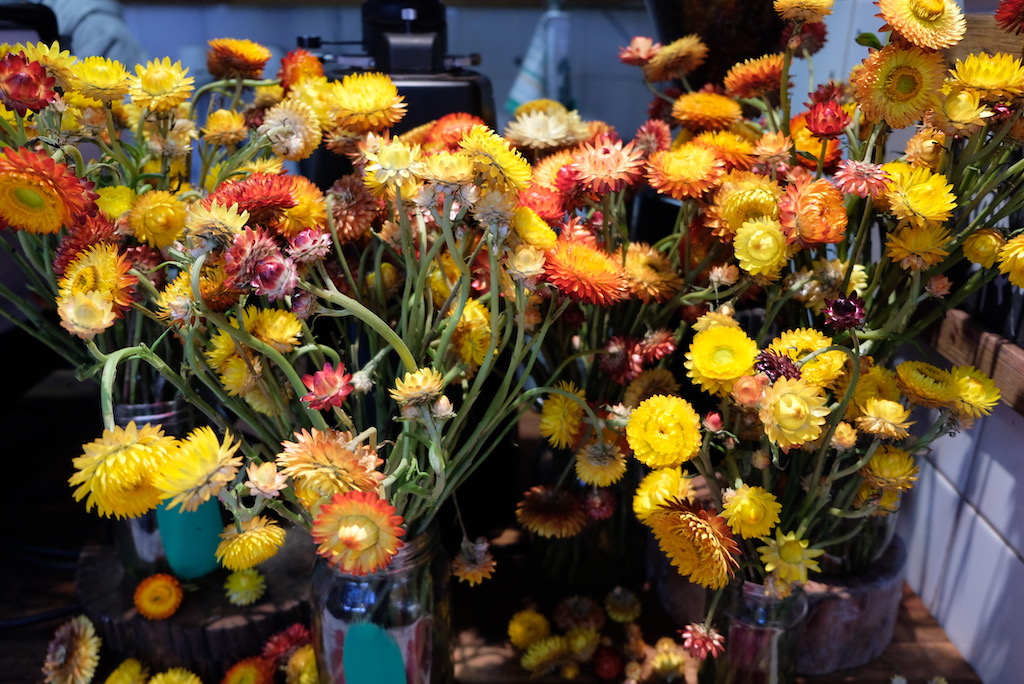 Photograph of a flower display